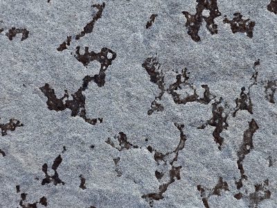 Pink crystalline grains, grey mineral veins trace the skin, grit holds the pattern