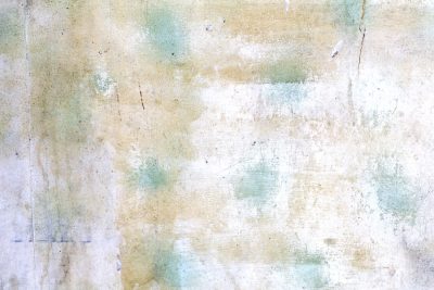 Pink rose on cream paper, faded vintage lines, pattern marks the old year