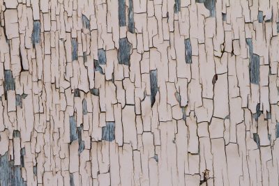 Pink roses on green stems, faded cream paper, time wears the pattern