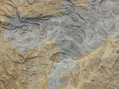 Gray stone layers shift, sand and grit cover the face, time wears down the edge