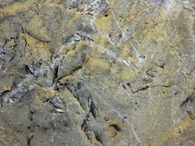 Pink veins in the stone, crystalline grit marks the rock, mineral flows deep