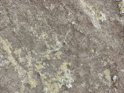 Sandstone grains are worn, lichen marks the ancient face, earth tones blend as one