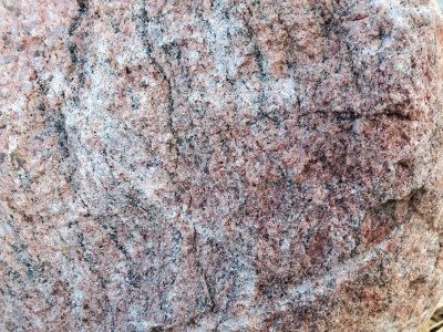 Red grains meet the blue, rough lines trace the heavy skin, time wears the finish