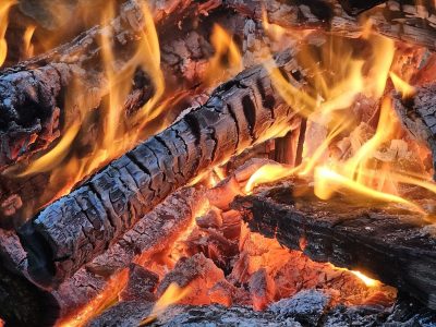 Bright orange flames rise, charred wood yields to glowing heat, embers pulse with light