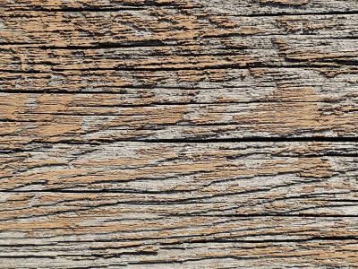 Weathered silver grain, orange paint clings to the ridge, deep cracks mark the years