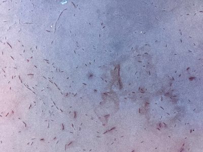 Purple paint wears thin, crimson scars across the sheet, metal starts to show