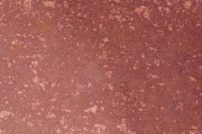 Red skin meets the rust, orange veins bleed on the field, time leaves a thick mark