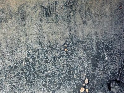 Red skin turns to grey, vertical marks trace the field, grit holds the pattern