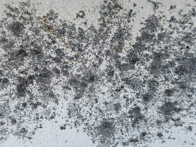 Red spots mark the field, orange mist on the surface, decay takes the light