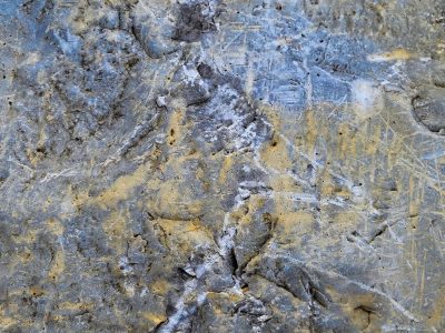 Rough skin holds the grit, pale marks trace the surface, time wears the finish