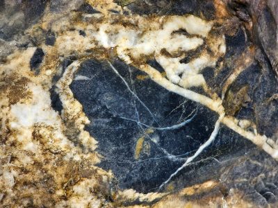 Rough skin holds the light, grey grains meet the field, time wears the finish