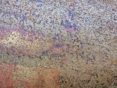 Rust eats through the coat, orange veins bleed on the grey, steel turns back to earth