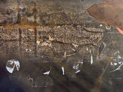 Rust peaks rise above, cream scales fall to dark valleys, iron yields to time.