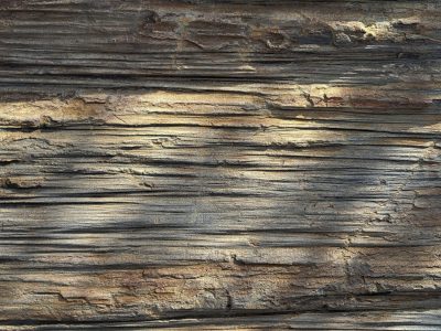 Silver ridges flow fast, horizontal grain holds the light, weather wears the line