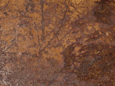 Silver skin has pits, grey marks trace the heavy plate, grit holds the surface