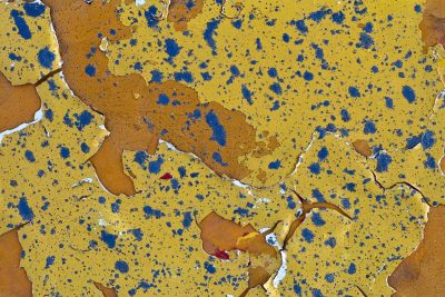 Yellow skin curls back, blue shadows mark the surface, cracks divide the light