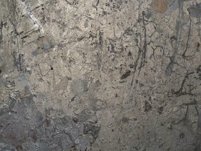 Silver skin is marred, jagged lines trace the metal, light catches the grit