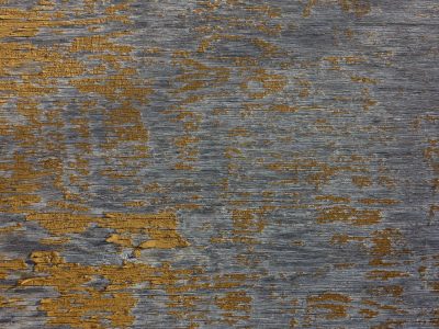 Grey wood holds the grain, ochre paint flakes from the board, time wears down the skin