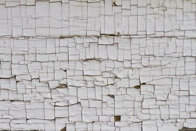 White skin cracks apart, brittle layers turn to dust, wood shows through the gaps