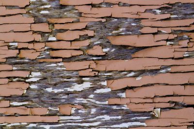 Brown paint curls away, silvered wood hides underneath, weather flakes the skin