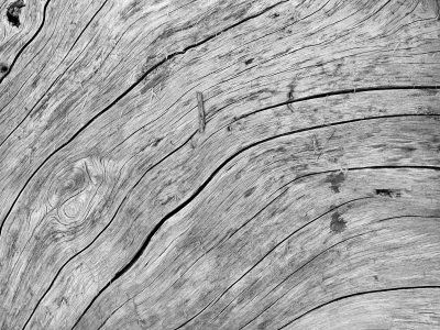 Tan blocks break apart, cubical rot traces paths, time eats the inside