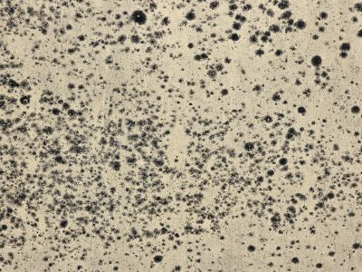 Tan fields meet the dark, jagged spots bleed through the skin, grit holds the finish