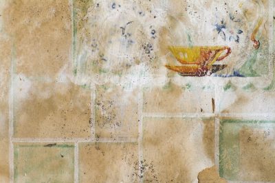 Tan lattice floral paper, vintage weathered skin, interior pattern holds the age