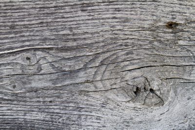 Teal skin meets the rust, orange veins bleed through the blue, grit marks the finish