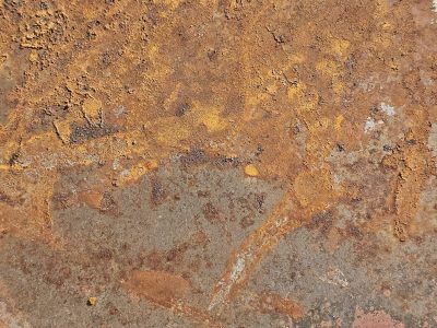 Teal skin turns to rust, orange bloom breaks through the blue, steel wears thin and old