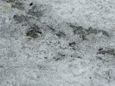 White ice on the grey, frozen crystals trace the grit, winter holds the ground