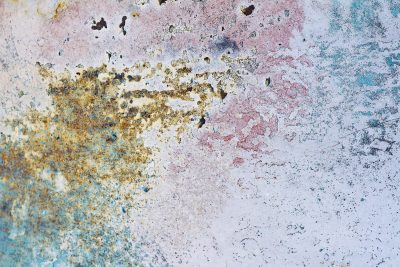 White paint flakes from the board, wood grain shows through the gaps, time wears the timber