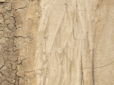 White skin has fine cracks, jagged lines trace the field, light catches the edge