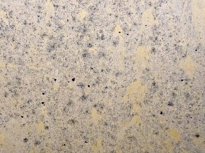 Grit covers the wall, dark specks dot the faded cream, yellow shadows bloom