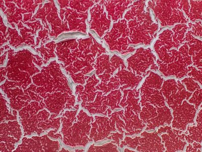 Yellow fields meet grey, heavy marks trace the surface, time wears the finish