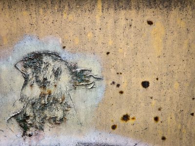 Yellow paint peels back, a white scar blooms on the steel, iron yields to time.