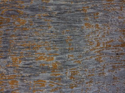 Yellow skin peels back, dark grain shows beneath the flakes, grit marks the finish