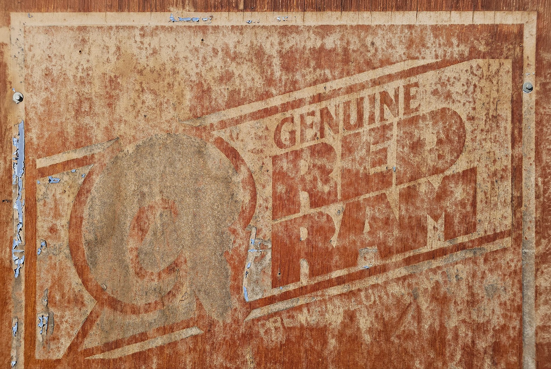 Weathered paint clings on, A ram ghost in peeling red, time chewing the wood.