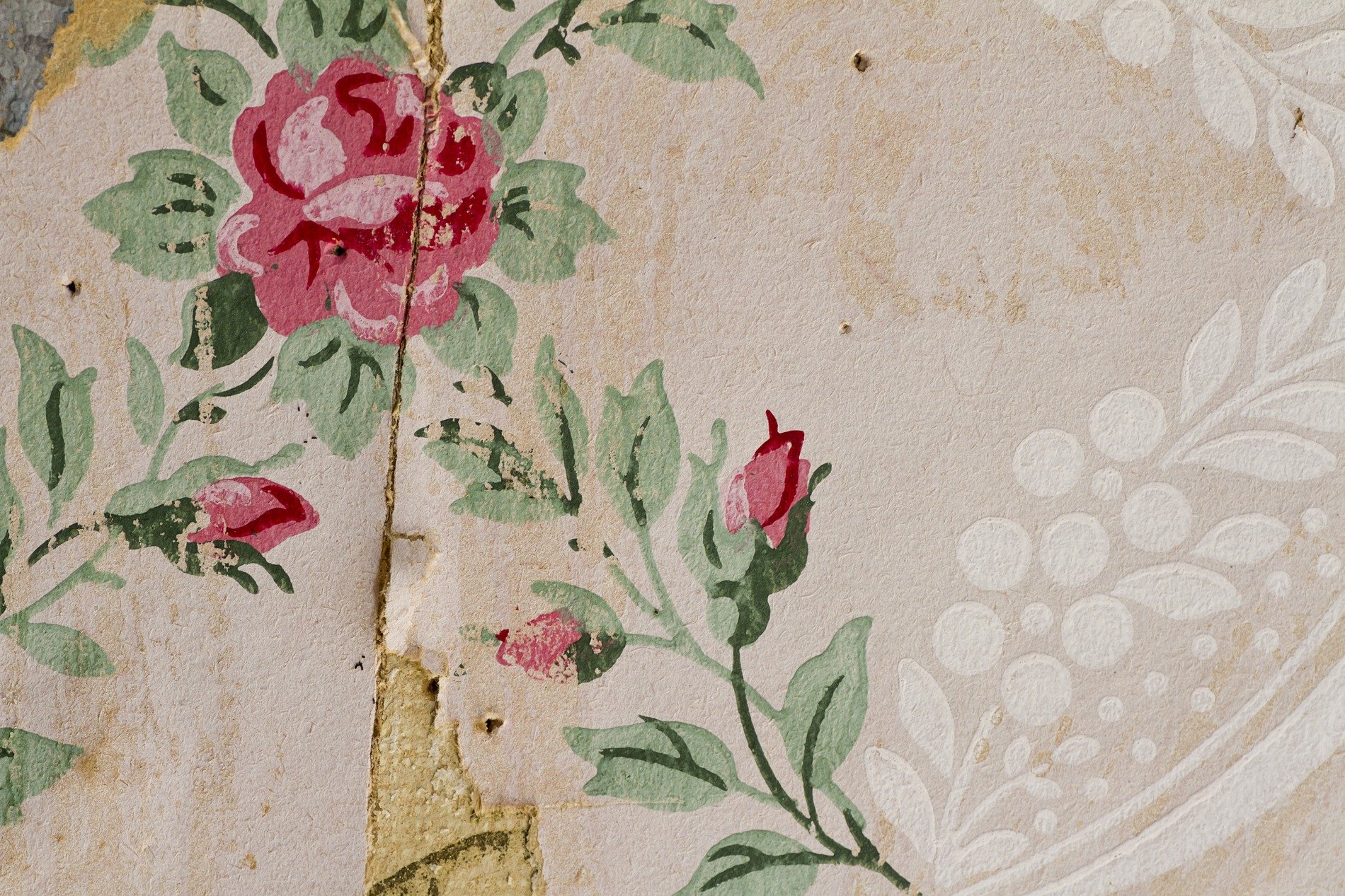 Weathered wood grain, silver and brown minerals claim the board, grit holds the age