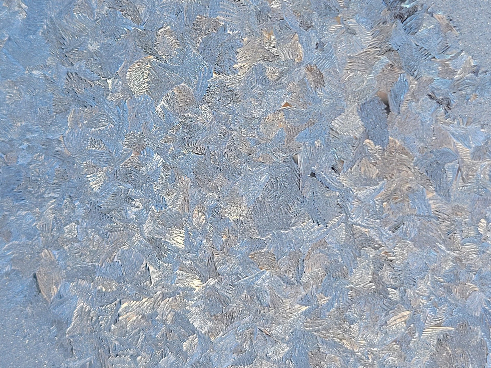 White crystals bloom, sharp edges meet the grey, frozen light holds fast