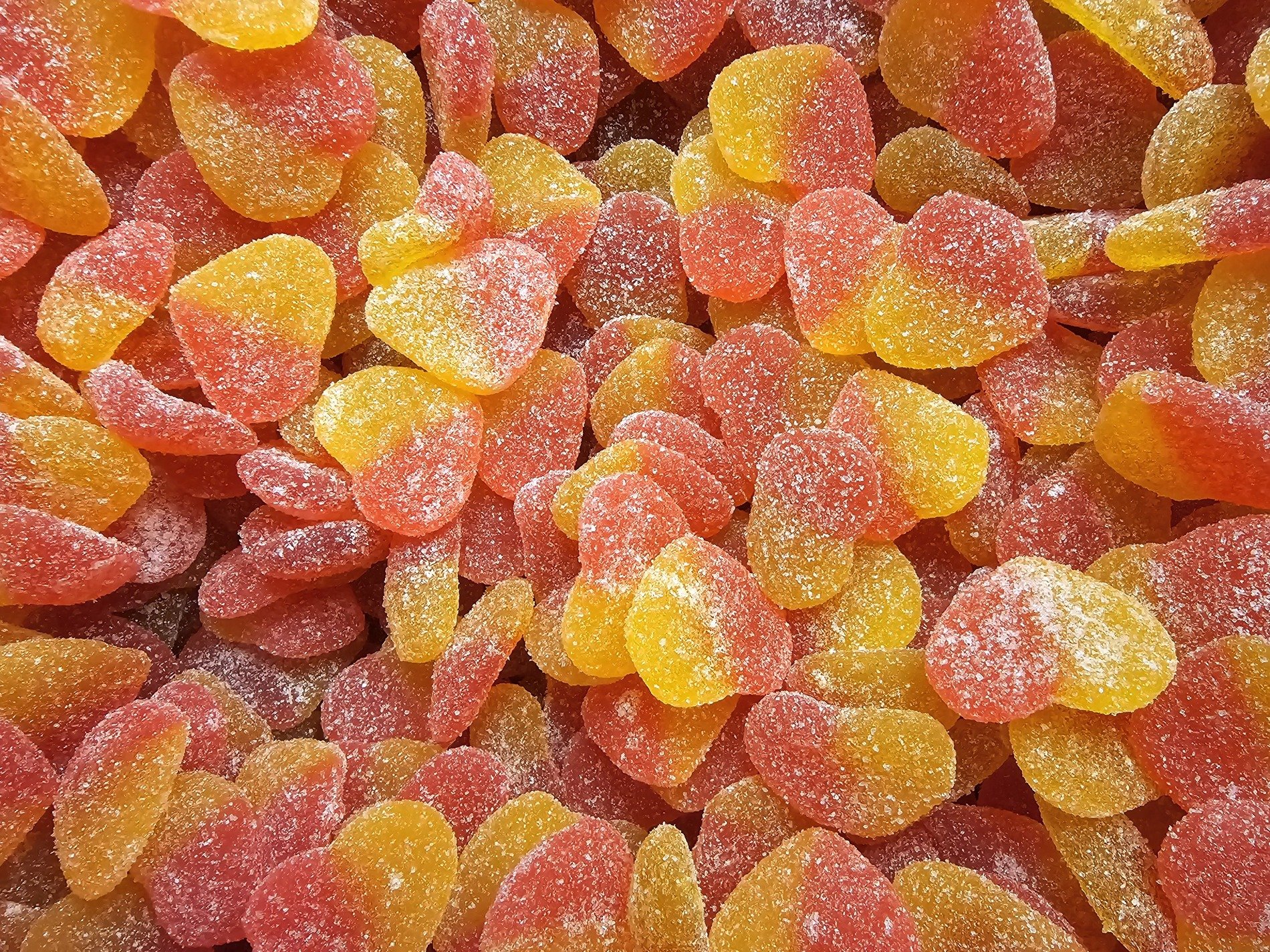 White drifts hold the light, blue shadows carve the frozen field, cold claims the earth