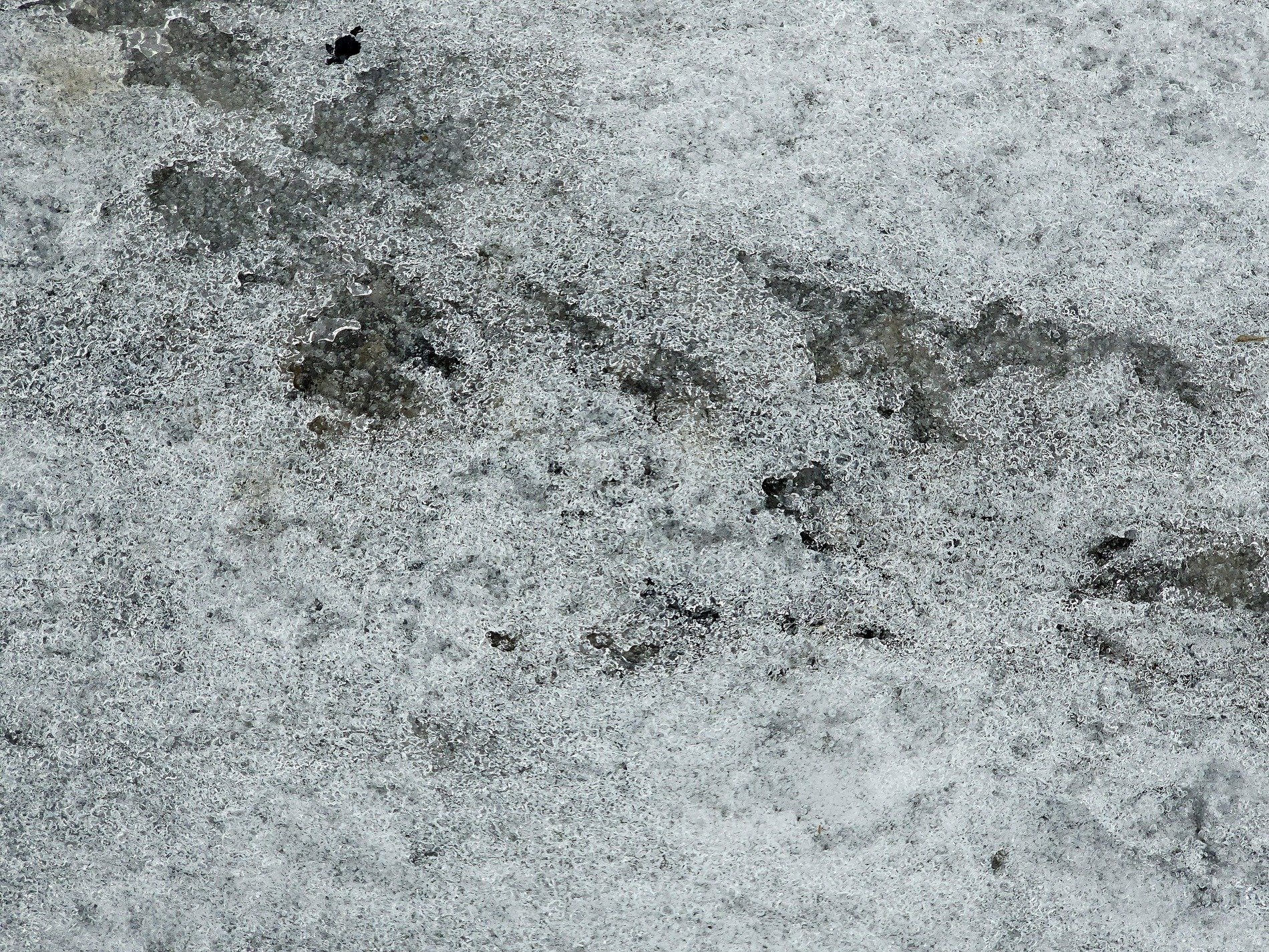 White ice on the grey, frozen crystals trace the grit, winter holds the ground