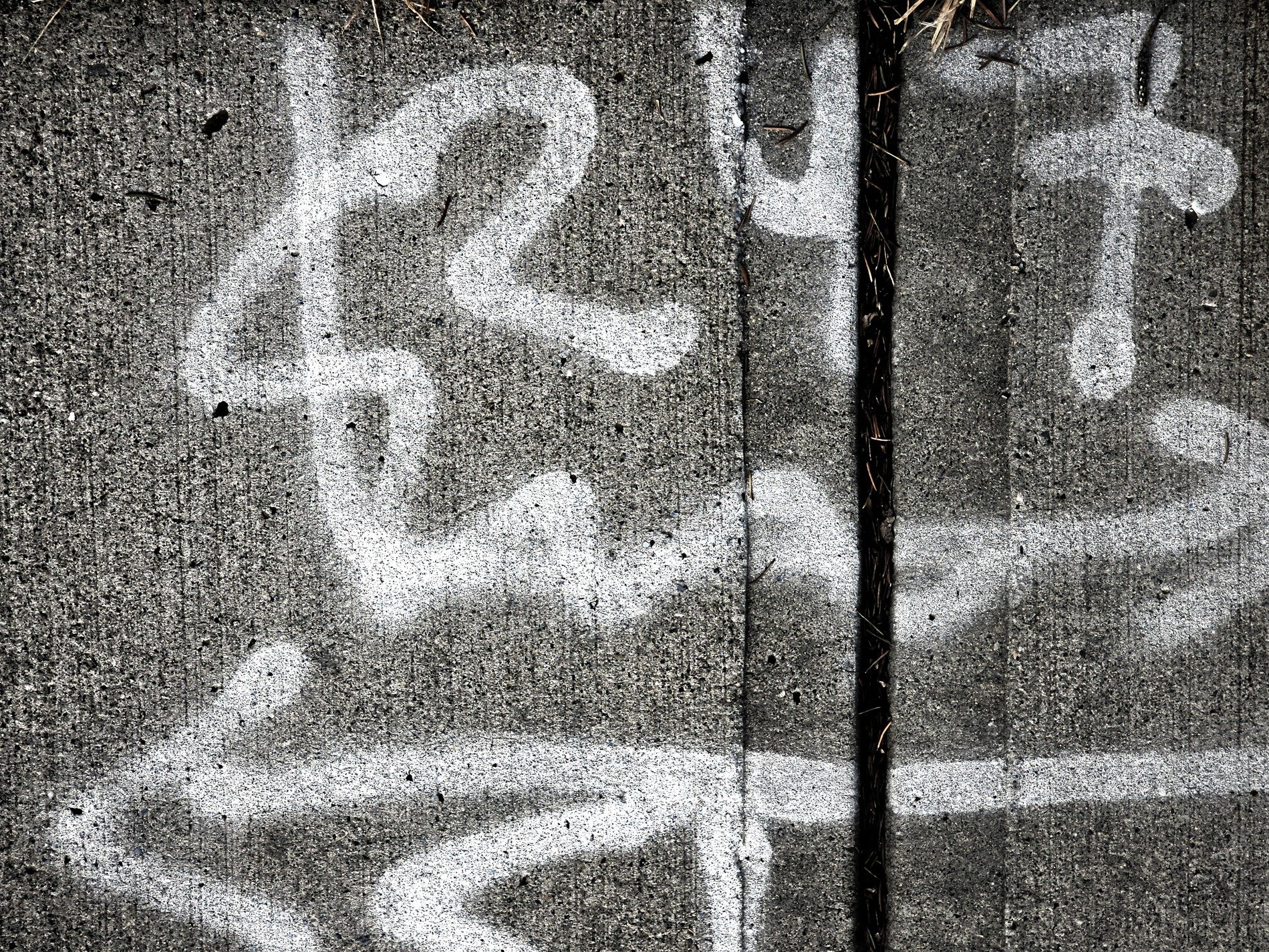 White marks on the grey, chalky lines trace the pavement, grit meets the surface