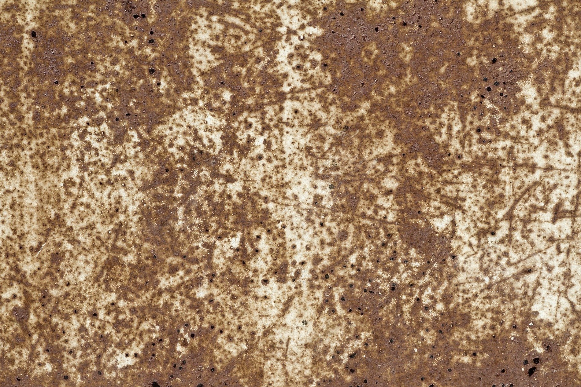 White paint curls from wood, grey grain shows beneath, time flakes the timber