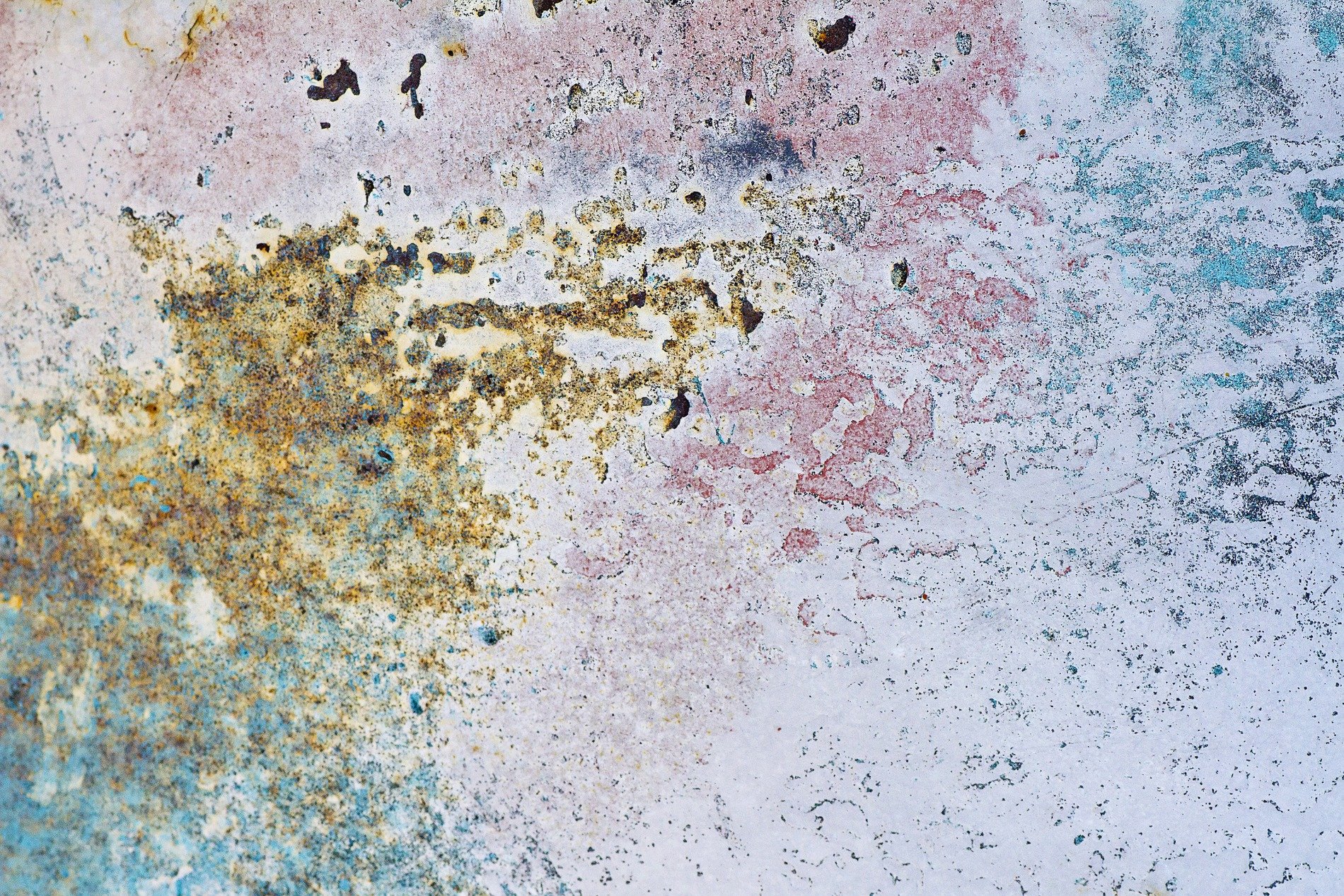 White paint flakes from the board, wood grain shows through the gaps, time wears the timber