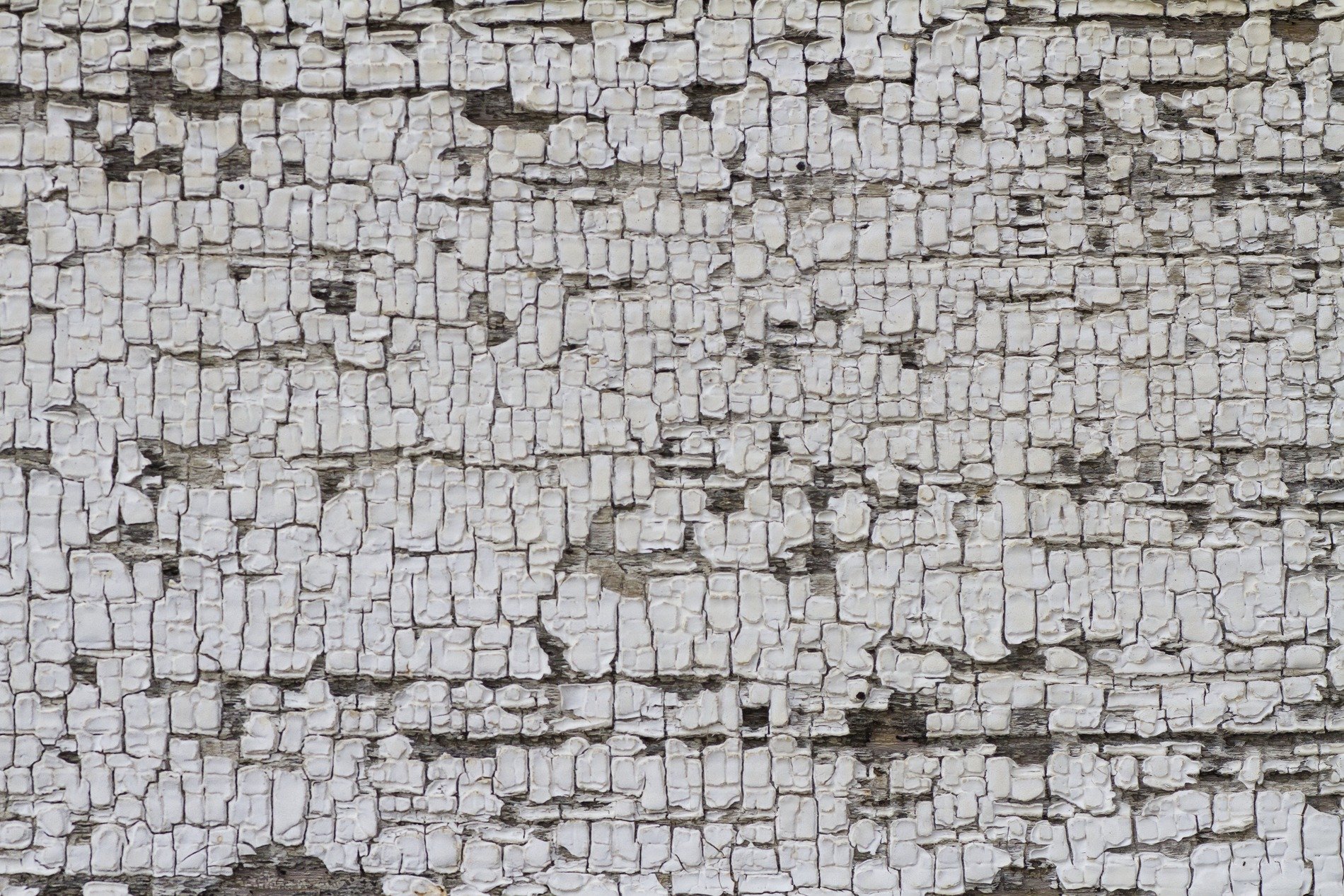 White paint peels away, brown wood waits beneath the cracks, grit holds the surface