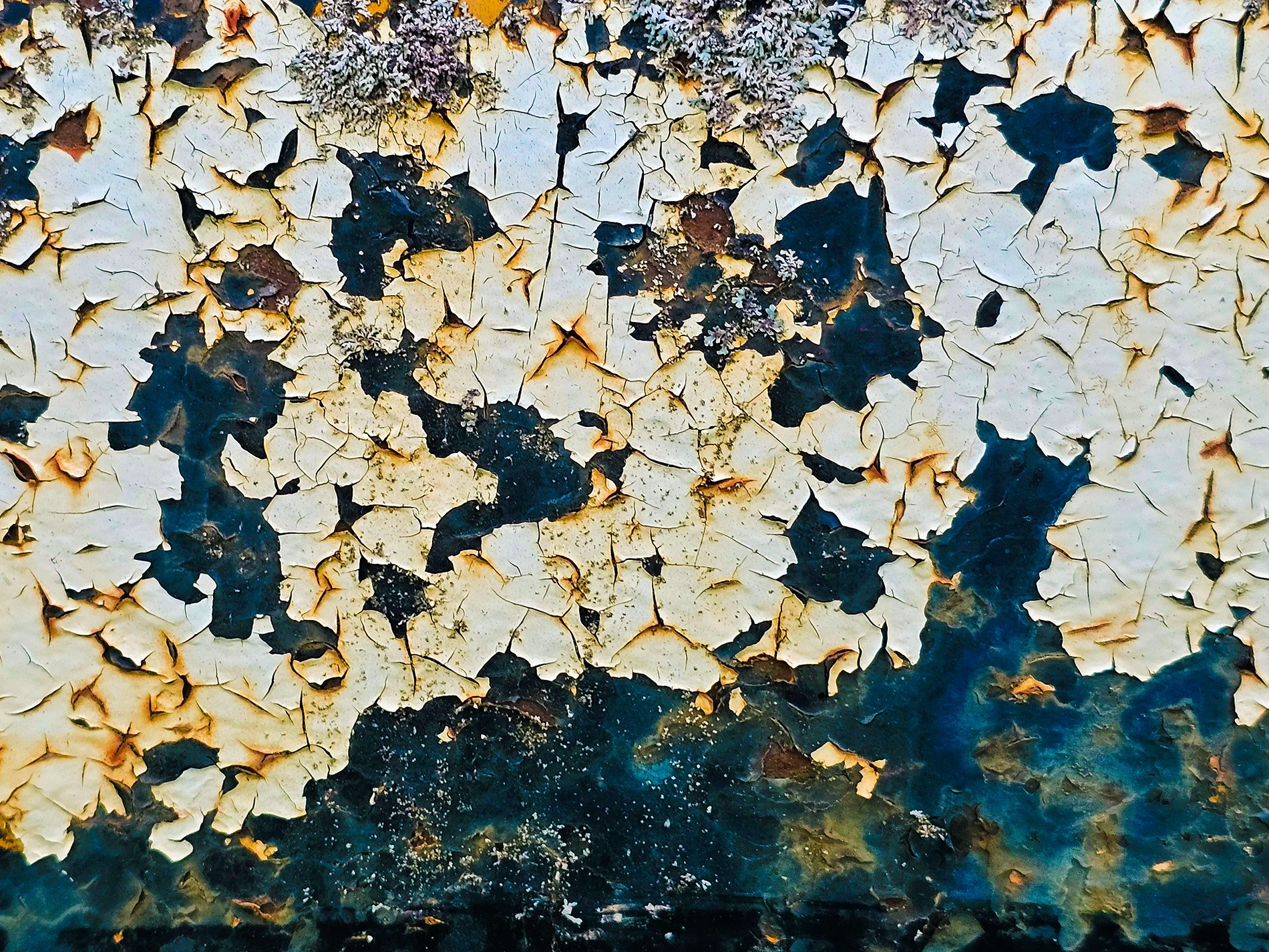 White scales peel from steel, lichen blooms on rusted dark, time creates the art.