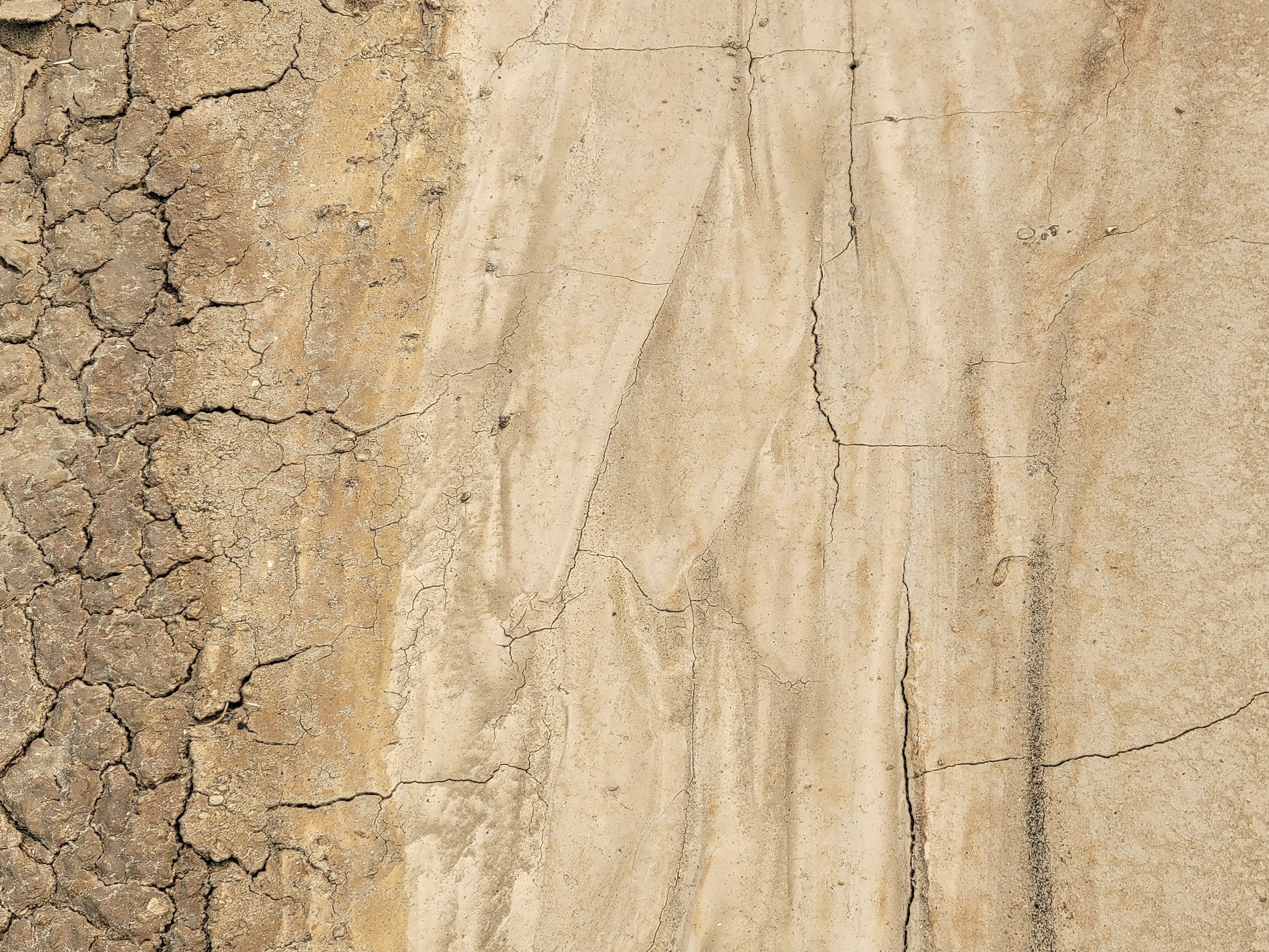 White skin has fine cracks, jagged lines trace the field, light catches the edge