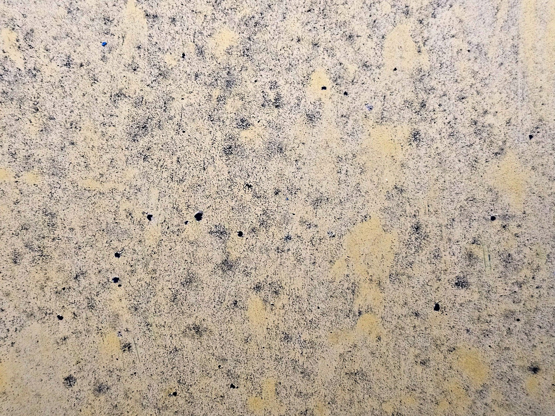 Grit covers the wall, dark specks dot the faded cream, yellow shadows bloom