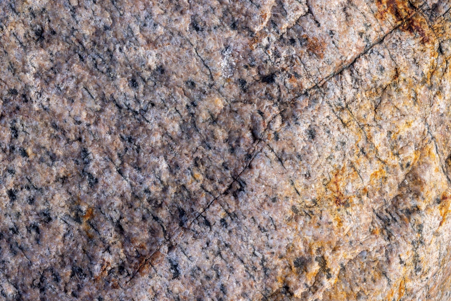 White vein cuts the blue field, jagged mineral traces the skin, light catches the edge