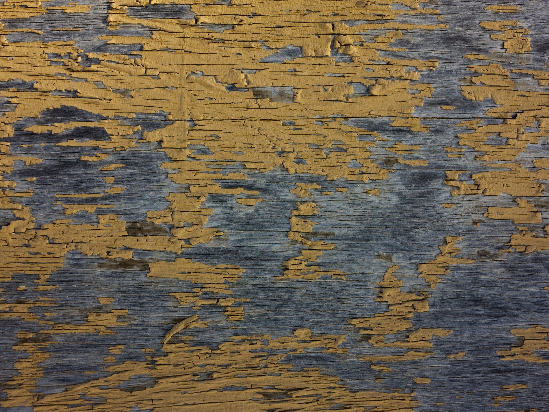 Yellow paint flakes, dark grain waits beneath the skin, wood holds the old years